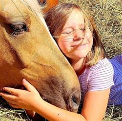 HORSEheaven Warzenko Ponies