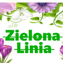 Zielona Linia. Sklep wielobranżowy. Jakubowska A.