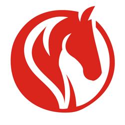 Horseshoe.pl