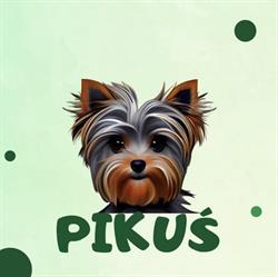 Pielęgnacja Psów "PIKUŚ" Monika Wielgosz