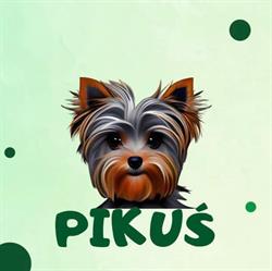Pielęgnacja Psów "PIKUŚ" Monika Wielgosz