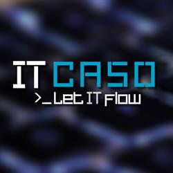 IT CASO
