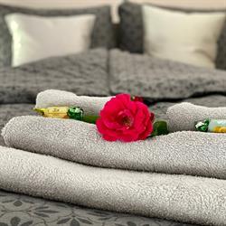 Apartamenty W Brzozowym Gaju