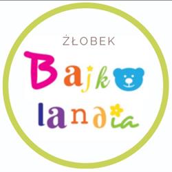 Niepubliczny Żłobek Bajkolandia