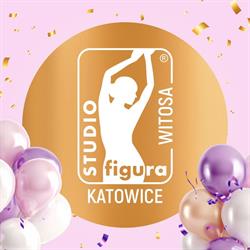Studio Figura Katowice Witosa