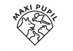 Maxi Pupil