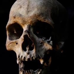 Forty Skulls Tattoo
