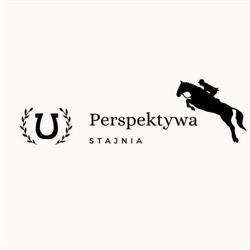 Stajnia Perspektywa