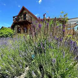 Lavendowe Zacisze