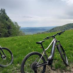 Wypożyczalnia rowerów elektrycznych Nad Stawami