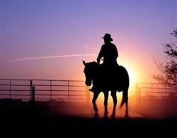 Palomino Ranch