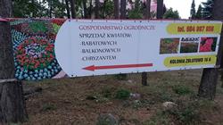 Grzegorz Antonowicz Gospodarstwo ogrodnicze