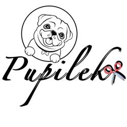 Pupilek-strzyżenie i pielęgnacja psów