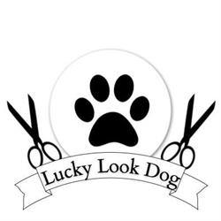 Salon Pielęgnacji Zwierząt Lucky Look Dog