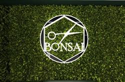 BONSAI