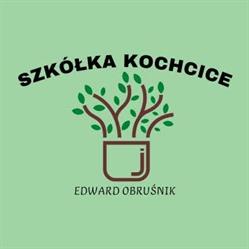 Szkółka Roślin Obruśnik Kochcice