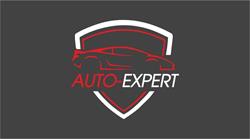 Auto-Expert Usuwanie wgnieceń