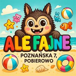Ale fajne - zabawki plażowe, parawany, piłki, atrakcje