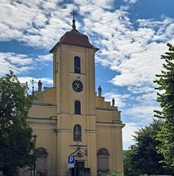 Fara Pleszew