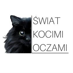 Fundacja Świat Kocimi Oczami, Hotel dla kotów, Konsultacje behawioralne i dietetyczne