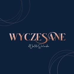 Wyczesane Studio Fryzur