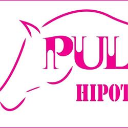 Hipoterapia Pulmo