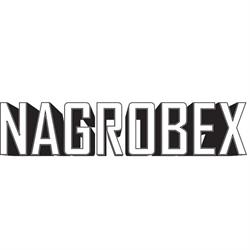 NAGROBEX - Sprzedaż i renowacja nagrobków