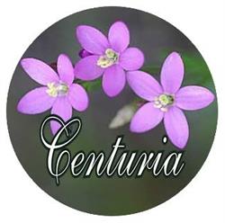 Sklep Zielarski Centuria