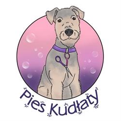 Pies Kudłaty - salon groomerski