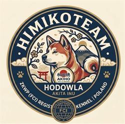 Hodowla Psów Himikoteam FCI Akita Inu