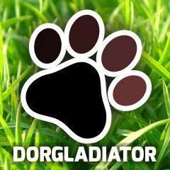 Dor Gladiator