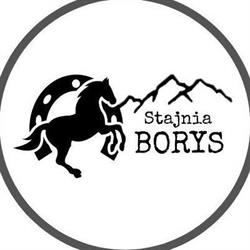 Stajnia Borys