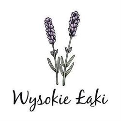 Wysokie Łąki domki w górach