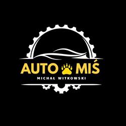 Auto Miś , Michał Witkowski