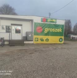 Groszek