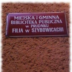Biblioteka publiczna