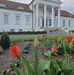 Szkoła Podstawowa im.Andrzeja i Władysława Niegolewskich w Rudnikach