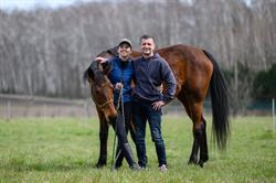Szkoła Alfa Horse - Psychologia & Trening Koni