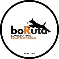 Szkoła dla psów boRuta.