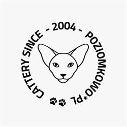 poziomkowo.pl  (Dagmara Krupińska)