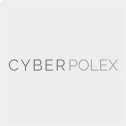 Cyberpolex