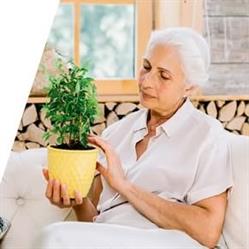 Zielone Zacisze - Niepubliczna Placówka Opieki Senioralnej