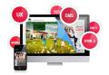 Strona-Internetowa-CMS