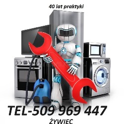 Stary  Lis AGD tel -509969447