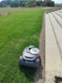 Skoszonepl  roboty koszące Szczecin