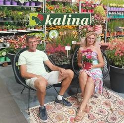 Kalina szkółka roślin ozdobnych w Kluczach