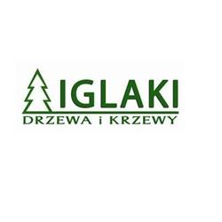 IglakiWolsztyn