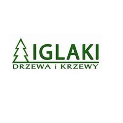 IglakiWolsztyn