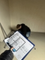 Zdjęcie3