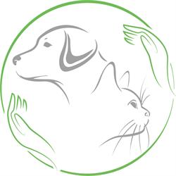 Weterynarz Pluto Radzionków